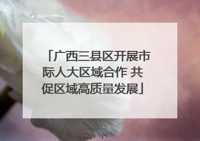广西三县区开展市际人大区域合作 共促区域高质量发展