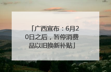 广西宣布：6月20日之后，暂停消费品以旧换新补贴