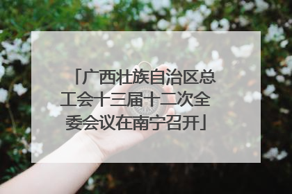 广西壮族自治区总工会十三届十二次全委会议在南宁召开