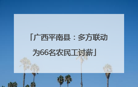 广西平南县：多方联动为66名农民工讨薪