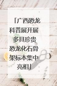 广西恐龙科普展开展 多具珍贵恐龙化石骨架标本集中亮相