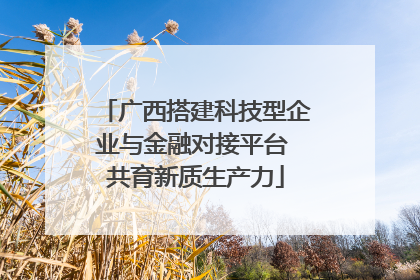 广西搭建科技型企业与金融对接平台 共育新质生产力