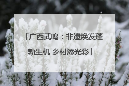 广西武鸣：非遗焕发蓬勃生机 乡村添光彩
