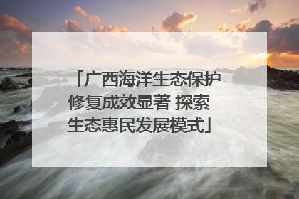 广西海洋生态保护修复成效显著 探索生态惠民发展模式