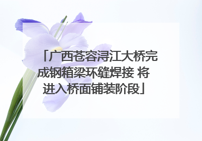 广西苍容浔江大桥完成钢箱梁环缝焊接 将进入桥面铺装阶段