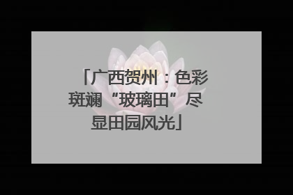 广西贺州：色彩斑斓“玻璃田”尽显田园风光
