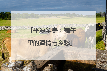 平凉华亭：端午里的温情与乡愁
