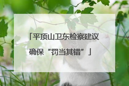 平顶山卫东检察建议确保“罚当其错”