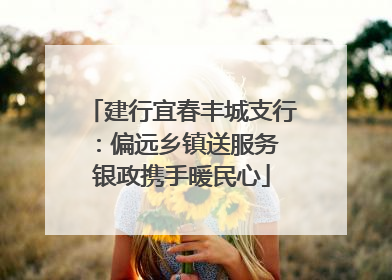 建行宜春丰城支行：偏远乡镇送服务 银政携手暖民心