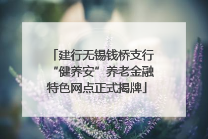 建行无锡钱桥支行“健养安”养老金融特色网点正式揭牌