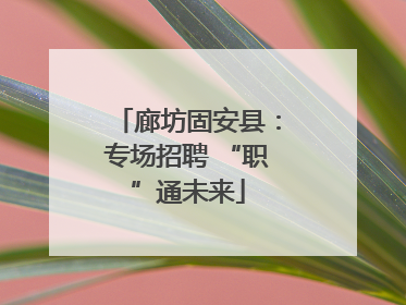 廊坊固安县：专场招聘 “职”通未来
