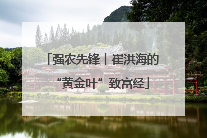 强农先锋丨崔洪海的“黄金叶”致富经