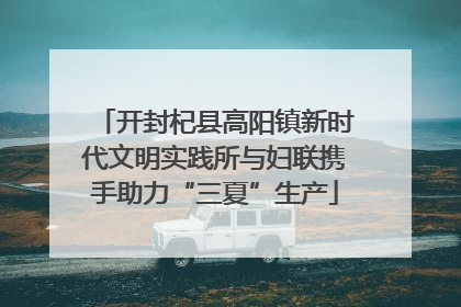 开封杞县高阳镇新时代文明实践所与妇联携手助力“三夏”生产