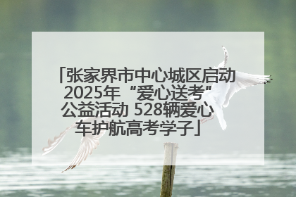 张家界市中心城区启动2025年“爱心送考”公益活动 528辆爱心车护航高考学子