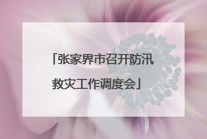 张家界市召开防汛救灾工作调度会