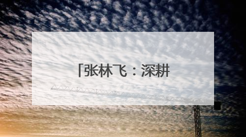 张林飞：深耕实体经济的多元产业开拓者