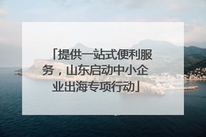提供一站式便利服务，山东启动中小企业出海专项行动