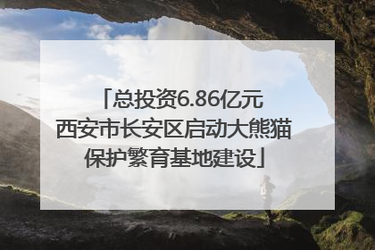 总投资6.86亿元 西安市长安区启动大熊猫保护繁育基地建设
