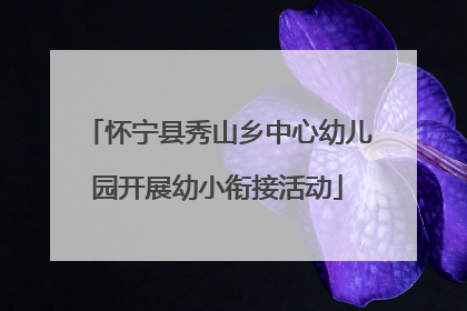 怀宁县秀山乡中心幼儿园开展幼小衔接活动