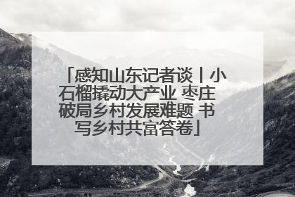 感知山东记者谈丨小石榴撬动大产业 枣庄破局乡村发展难题 书写乡村共富答卷