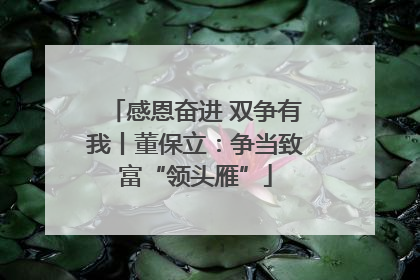 感恩奋进 双争有我丨董保立：争当致富“领头雁”
