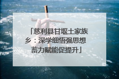 慈利县甘堰土家族乡：深学细悟强思想 蓄力赋能促提升