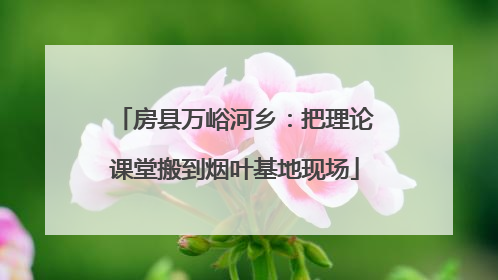 房县万峪河乡：把理论课堂搬到烟叶基地现场