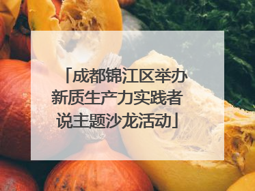 成都锦江区举办新质生产力实践者说主题沙龙活动