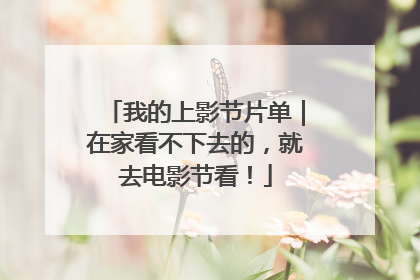 我的上影节片单｜在家看不下去的，就去电影节看！