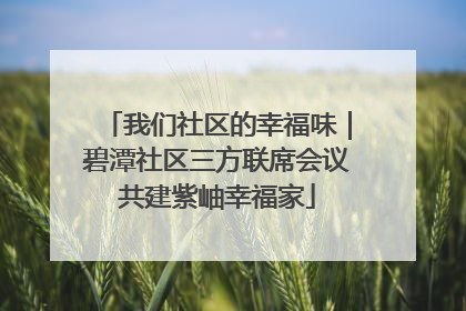 我们社区的幸福味｜碧潭社区三方联席会议共建紫岫幸福家