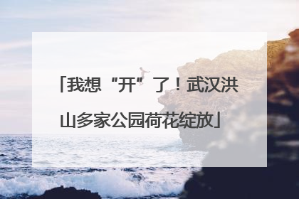 我想“开”了！武汉洪山多家公园荷花绽放
