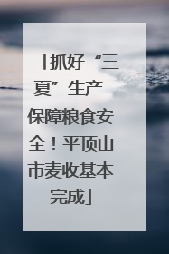 抓好“三夏”生产 保障粮食安全！平顶山市麦收基本完成