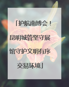 护航南博会！昆明城管坚守展馆守护文明有序交易环境