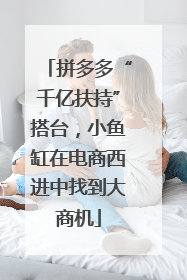 拼多多“千亿扶持”搭台，小鱼缸在电商西进中找到大商机