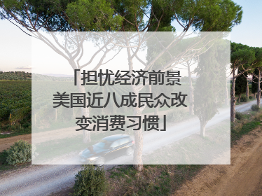 担忧经济前景 美国近八成民众改变消费习惯