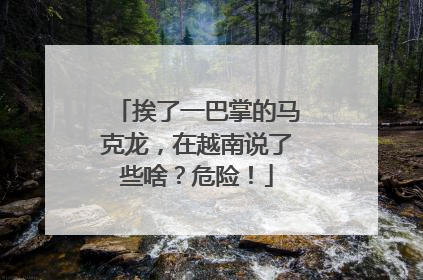挨了一巴掌的马克龙，在越南说了些啥？危险！