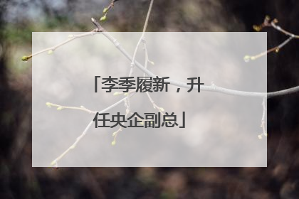 李季履新，升任央企副总