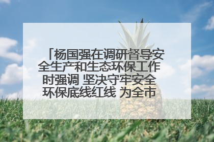 杨国强在调研督导安全生产和生态环保工作时强调 坚决守牢安全环保底线红线 为全市经济社会高质量发展提供坚强保障