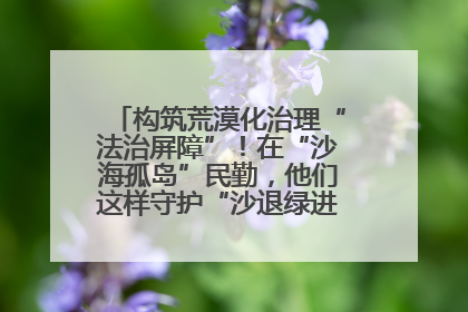 构筑荒漠化治理“法治屏障”！在“沙海孤岛”民勤，他们这样守护“沙退绿进”的生态奇迹