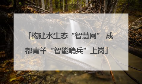 构建水生态“智慧网” 成都青羊“智能哨兵”上岗