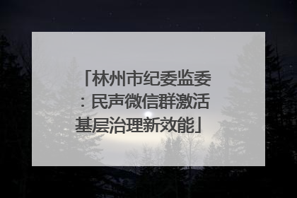 林州市纪委监委：民声微信群激活基层治理新效能