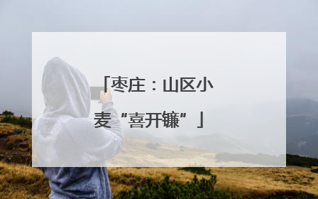 枣庄：山区小麦“喜开镰”