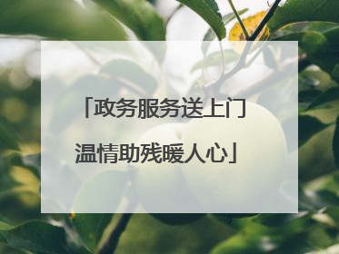 政务服务送上门 温情助残暖人心
