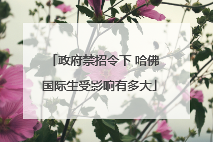 政府禁招令下 哈佛国际生受影响有多大
