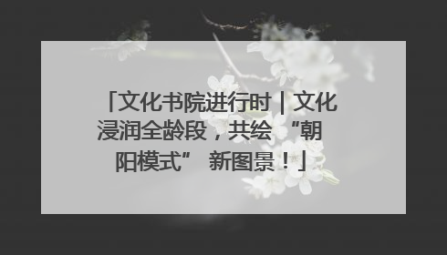 文化书院进行时｜文化浸润全龄段，共绘 “朝阳模式” 新图景！