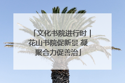 文化书院进行时｜花山书院促新景 凝聚合力促善治