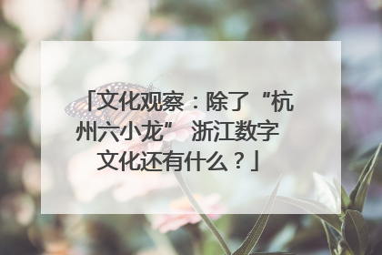 文化观察：除了“杭州六小龙” 浙江数字文化还有什么？