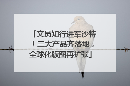 文员知行进军沙特！三大产品齐落地，全球化版图再扩张