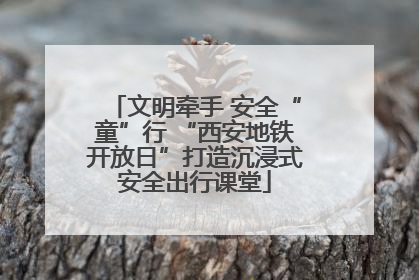 文明牵手 安全“童”行 “西安地铁开放日”打造沉浸式安全出行课堂