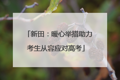 新田：暖心举措助力考生从容应对高考